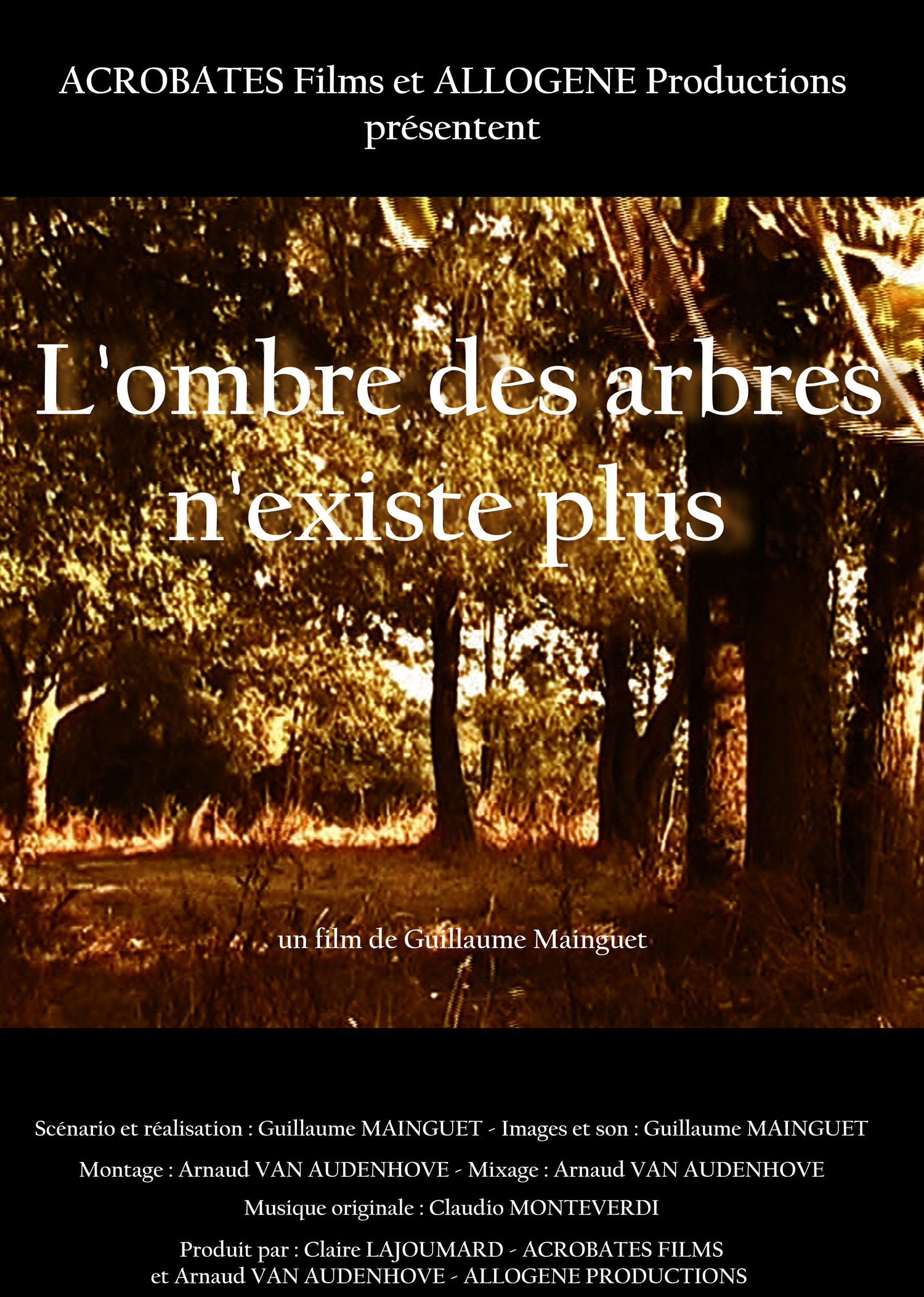Affiche L’ombre des arbres n’existe plus